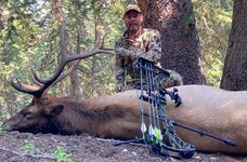 2021 CO Bull (2).jpg