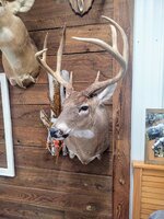 IMG_20211011_133324210.jpg