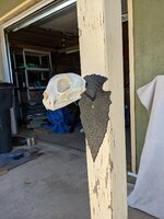 PXL_20211011_200948168.jpg