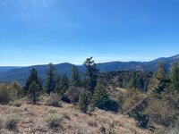 IMG_5042.jpg