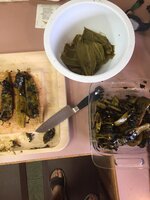 6B914A08-C9D0-4577-A65A-FF801DF570C9.jpeg