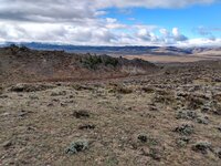 IMG_20211010_093834771_HDR.jpg