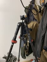 184E5B3A-DC3B-4682-B573-AA50ABF91C4F.jpeg