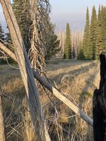 7DC048B8-76C5-499A-A1C6-B533509E5279.jpeg