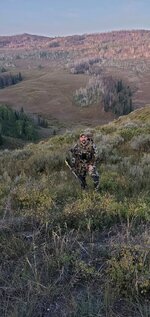 colorado.jpg