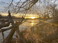 7C7654CF-42A1-429E-AC5F-56E187DF0C49.jpeg
