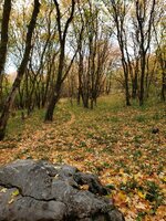 20211014_064307.jpg