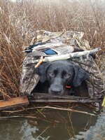 20171030_165851_copy_600x800.jpg