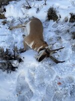 3B61B7EE-B678-4BDA-9285-F016ADB34CF1.jpeg 3B61B7EE-B678-4BDA-9285-F016ADB34CF1.jpeg