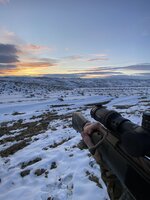 10ED15C1-5284-4082-83F6-4C1C9B1878D1.jpeg 10ED15C1-5284-4082-83F6-4C1C9B1878D1.jpeg