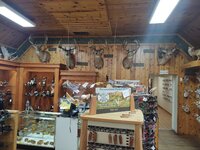 IMG_20211017_092312417.jpg