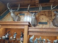 IMG_20211017_092328188.jpg