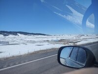 IMG_20211017_115500874.jpg