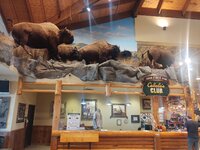 IMG_20211017_110143434.jpg