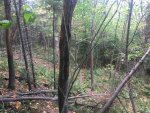 IMG_1760.jpg
