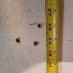 20170523_141833.jpg