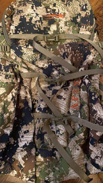 image4-1.jpeg