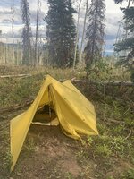 E501C1E2-E690-409F-91E9-929026578F01.jpeg