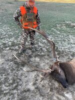 ND Elk 6.jpg