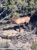 Nice5pt.png