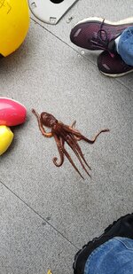20210519_111355.jpg