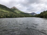 IMG_4824.jpg