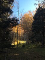 2021102023172486--1313420939328688277-IMG_1679.jpg