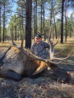 NM Elk -2 -2021.jpg