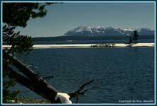 YellowstoneLk.jpg