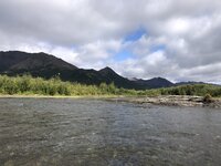 IMG_4833.jpg