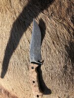 Knife.jpg