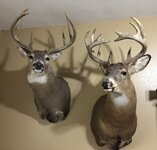 151 and 160.jpg