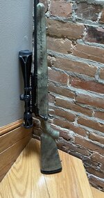 stock2.jpg