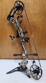 bow1.jpg