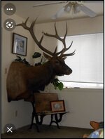 Elk example.jpg