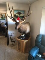 IMG_0442.jpg
