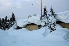 1635555439976.jpeg 1635555439976.jpeg