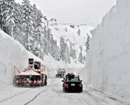 1635555561923.jpeg 1635555561923.jpeg