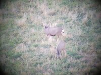 20211029_180859.jpg 20211029_180859.jpg