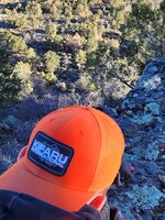 20211030_093327.jpg 20211030_093327.jpg