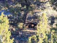 20211030_094429.jpg 20211030_094429.jpg