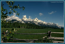 Teton4.jpg