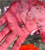 Screen Shot 2021-10-31 at 6.42.56 PM.png