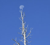 DSC_1188.JPG