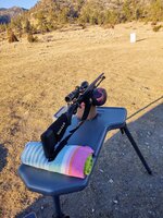 IMG_20211101_172203419.jpg