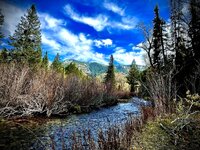 4E32A179-E333-445E-A755-537FC4C31E10.jpeg