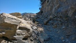 WP_20170820_005.jpg