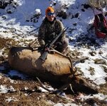 KK-Elk.jpg