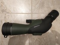 IMG_20211105_183717966.jpg