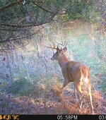 C2DDEC0C-3425-4E06-9506-91166F2A9640.jpeg